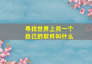 寻找世界上另一个自己的软件叫什么