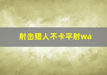 射击猎人不卡平射wa