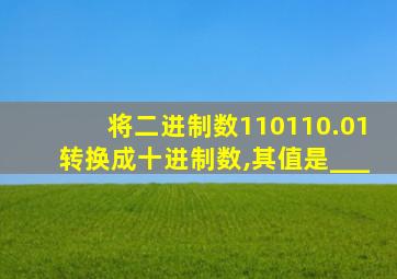 将二进制数110110.01转换成十进制数,其值是___