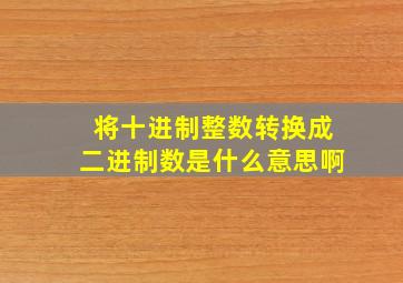 将十进制整数转换成二进制数是什么意思啊