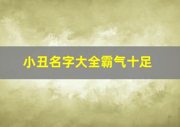 小丑名字大全霸气十足