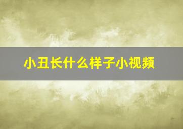 小丑长什么样子小视频