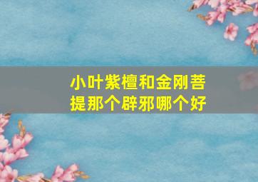 小叶紫檀和金刚菩提那个辟邪哪个好