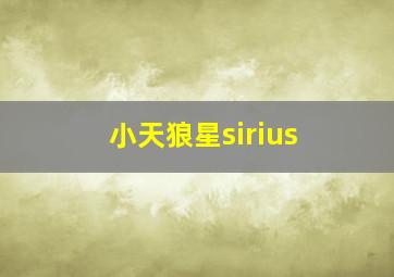 小天狼星sirius