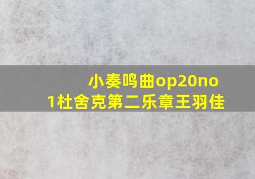 小奏鸣曲op20no1杜舍克第二乐章王羽佳