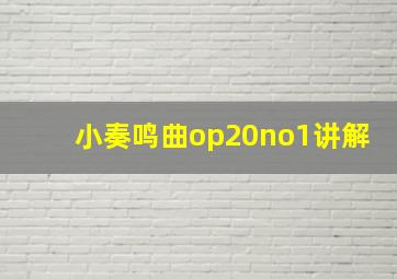 小奏鸣曲op20no1讲解