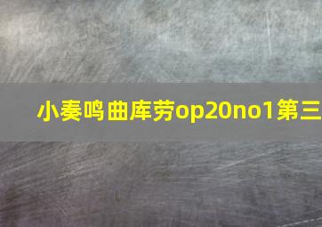 小奏鸣曲库劳op20no1第三