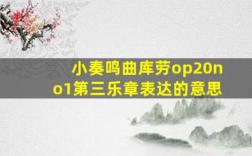 小奏鸣曲库劳op20no1第三乐章表达的意思