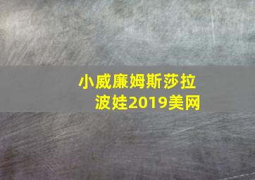 小威廉姆斯莎拉波娃2019美网