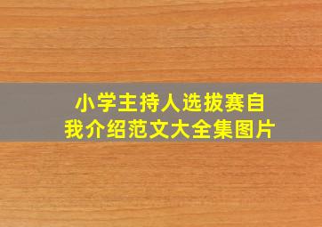 小学主持人选拔赛自我介绍范文大全集图片