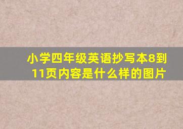 小学四年级英语抄写本8到11页内容是什么样的图片