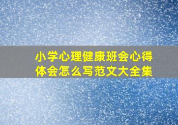 小学心理健康班会心得体会怎么写范文大全集