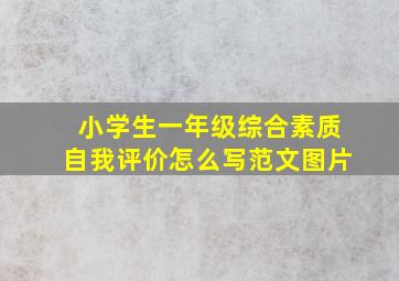 小学生一年级综合素质自我评价怎么写范文图片