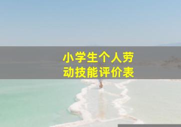 小学生个人劳动技能评价表