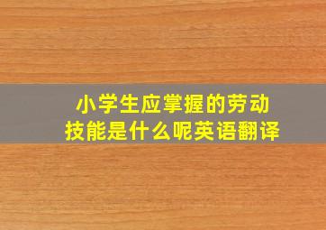 小学生应掌握的劳动技能是什么呢英语翻译