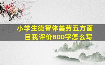 小学生德智体美劳五方面自我评价800字怎么写