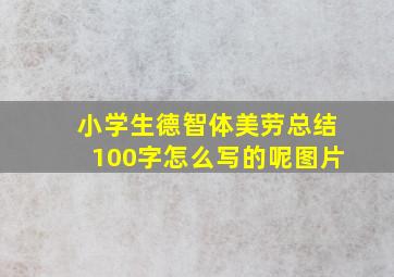 小学生德智体美劳总结100字怎么写的呢图片