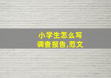 小学生怎么写调查报告,范文