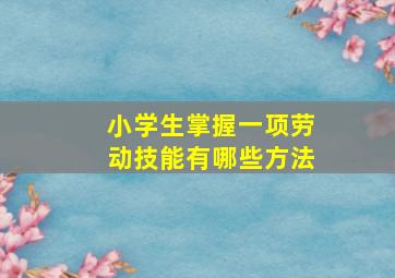 小学生掌握一项劳动技能有哪些方法