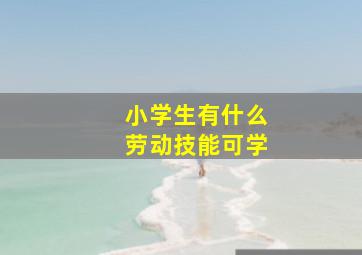 小学生有什么劳动技能可学