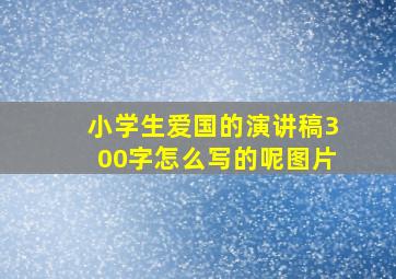 小学生爱国的演讲稿300字怎么写的呢图片