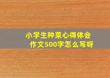 小学生种菜心得体会作文500字怎么写呀