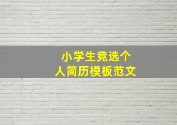 小学生竞选个人简历模板范文