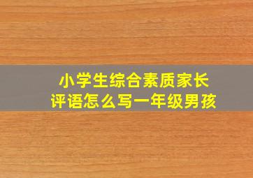 小学生综合素质家长评语怎么写一年级男孩