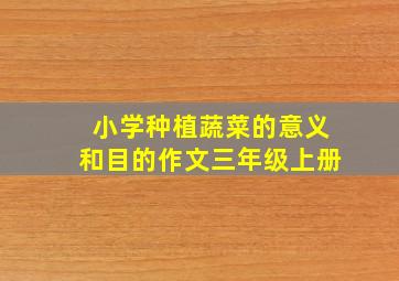 小学种植蔬菜的意义和目的作文三年级上册