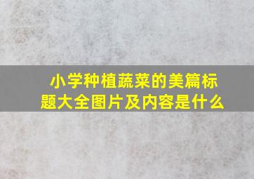 小学种植蔬菜的美篇标题大全图片及内容是什么