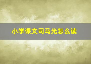 小学课文司马光怎么读