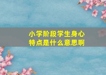 小学阶段学生身心特点是什么意思啊