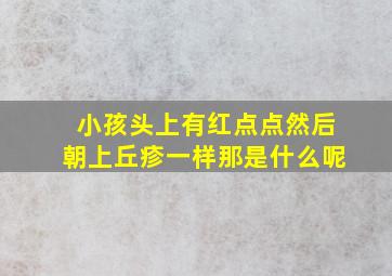 小孩头上有红点点然后朝上丘疹一样那是什么呢