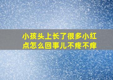 小孩头上长了很多小红点怎么回事儿不疼不痒