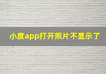 小度app打开照片不显示了