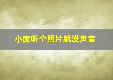 小度听个照片就没声音