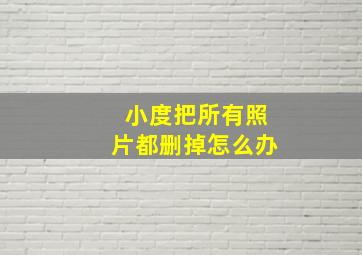 小度把所有照片都删掉怎么办