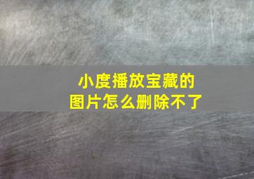 小度播放宝藏的图片怎么删除不了