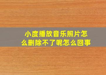 小度播放音乐照片怎么删除不了呢怎么回事