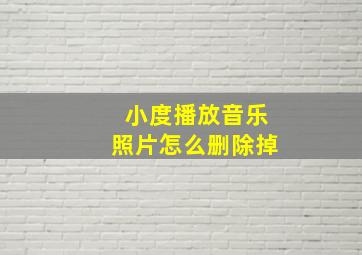 小度播放音乐照片怎么删除掉