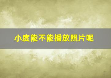 小度能不能播放照片呢