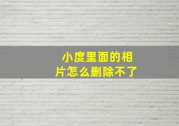 小度里面的相片怎么删除不了