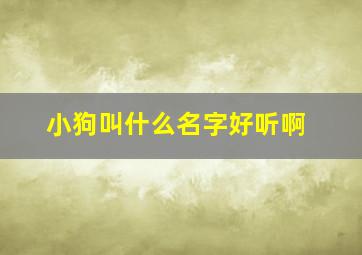 小狗叫什么名字好听啊