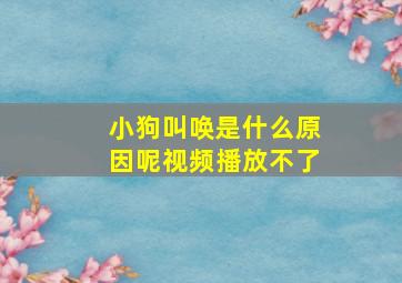 小狗叫唤是什么原因呢视频播放不了