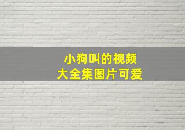 小狗叫的视频大全集图片可爱