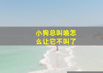 小狗总叫唤怎么让它不叫了