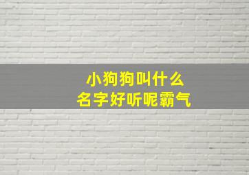 小狗狗叫什么名字好听呢霸气