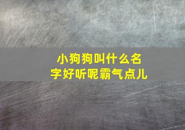 小狗狗叫什么名字好听呢霸气点儿