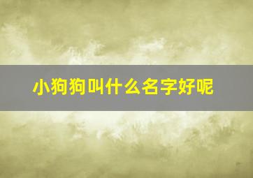 小狗狗叫什么名字好呢