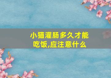 小猫灌肠多久才能吃饭,应注意什么